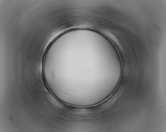 X0000113121420200909251103