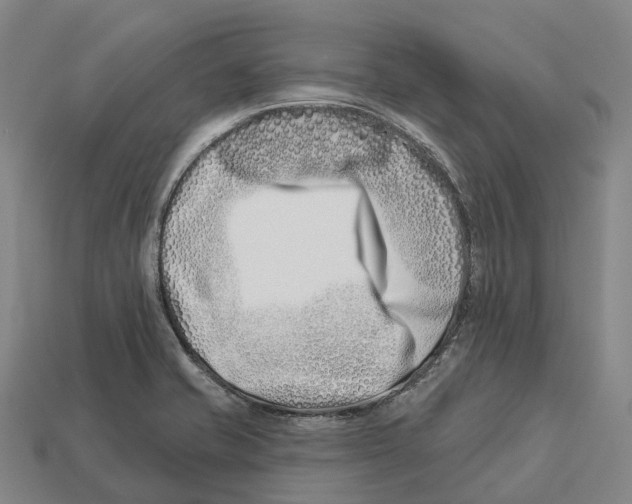 X0000113121421200909251103