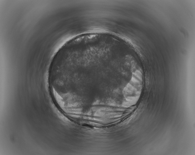 X0000113121422200909251103