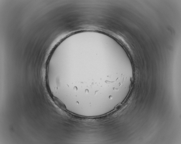 X0000113121424200909251103