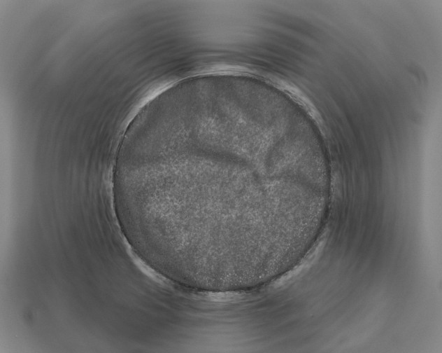 X0000113121425200909251103