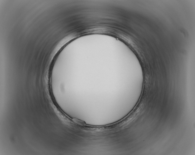 X0000113121426200909251103