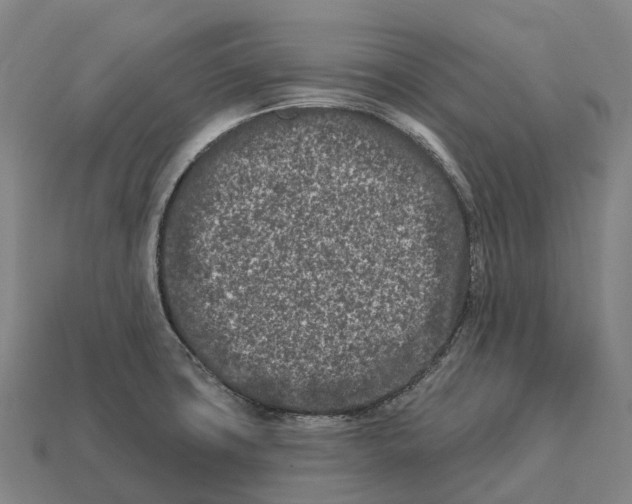 X0000113121427200909251103