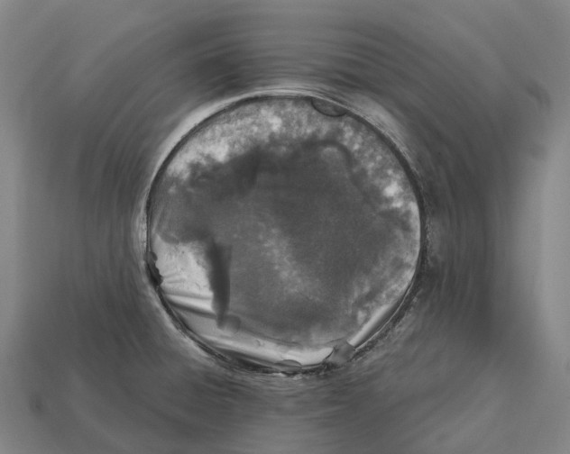 X0000113121428200909251103