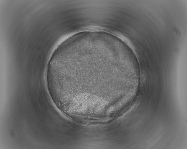 X0000113121429200909251103
