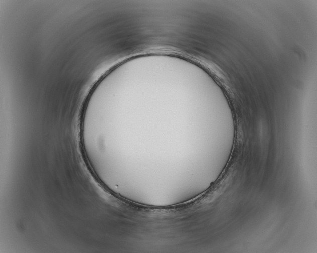 X0000113121430200909251103