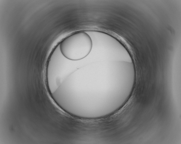 X0000113121432200909251103