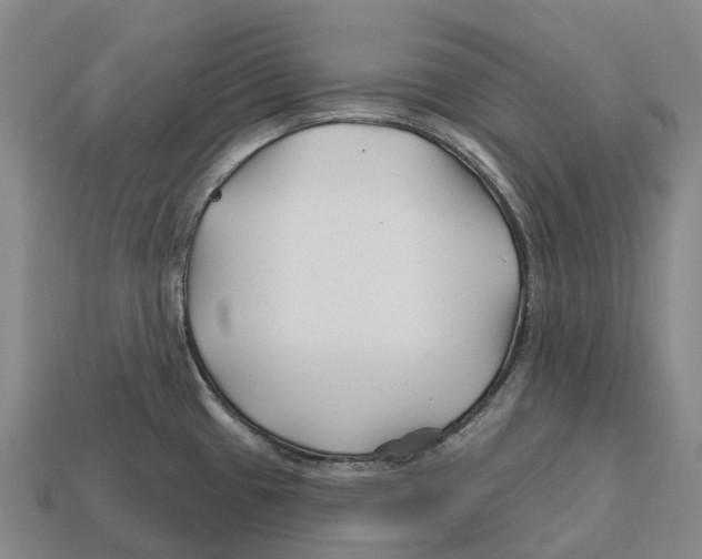 X0000113121433200909251103