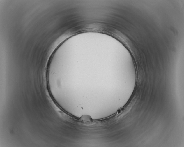 X0000113121434200909251103