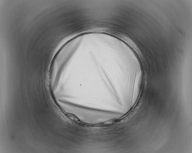 X0000113121436200909251104
