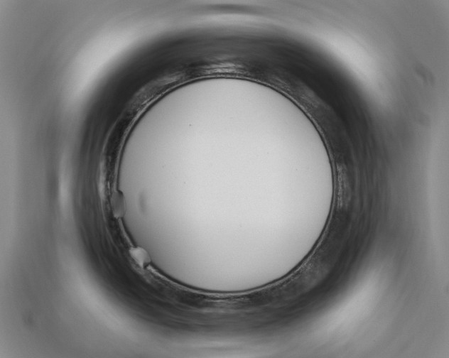 X0000113121438200909251104