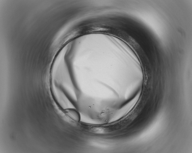 X0000113121439200909251104