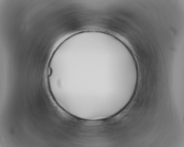 X0000113121440200909251104