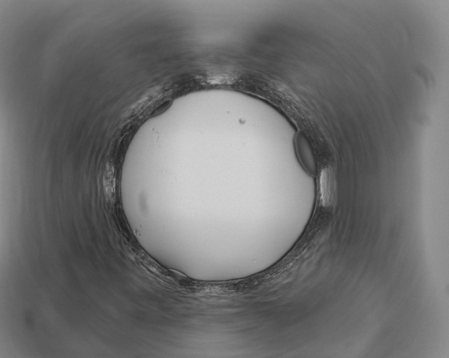 X0000113121443200909251103