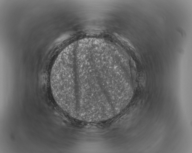 X0000113121445200909251103