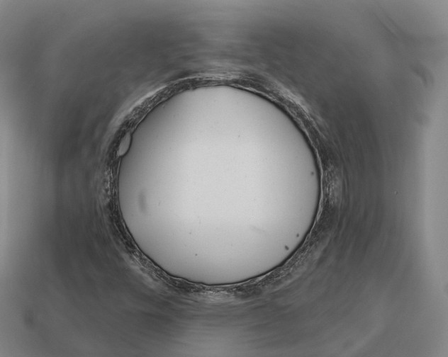 X0000113121448200909251103