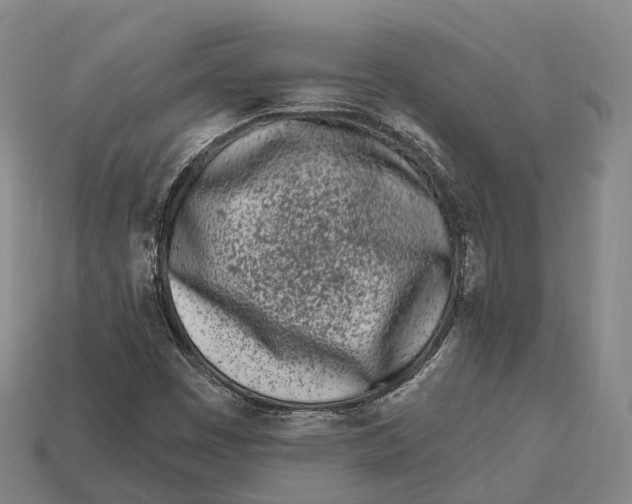 X0000113121449200909251103