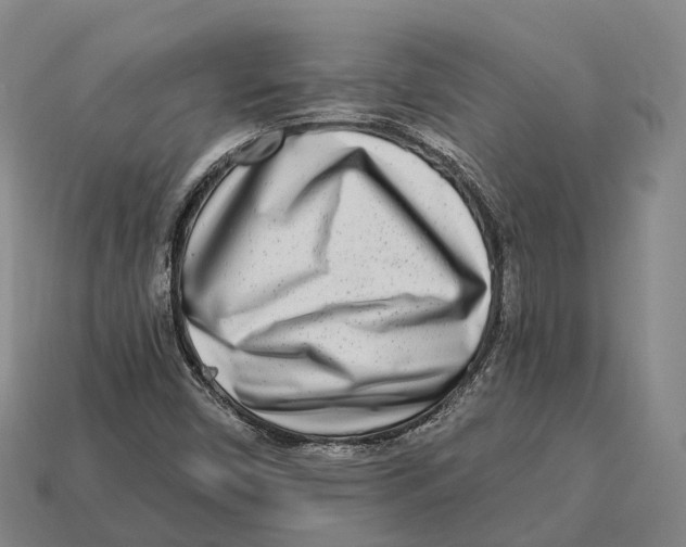 X0000113121450200909251103