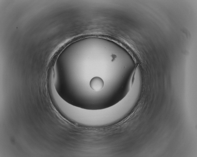 X0000113121452200909251103