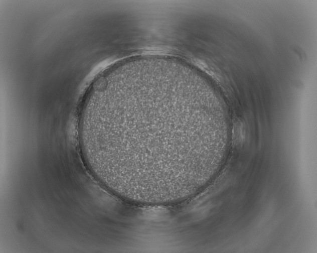 X0000113121454200909251103