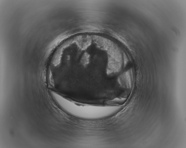 X0000113121455200909251103