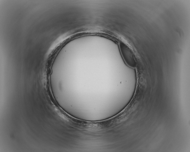 X0000113121456200909251103