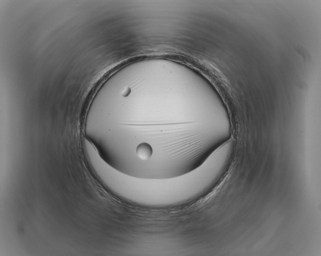 X0000113121457200909251103