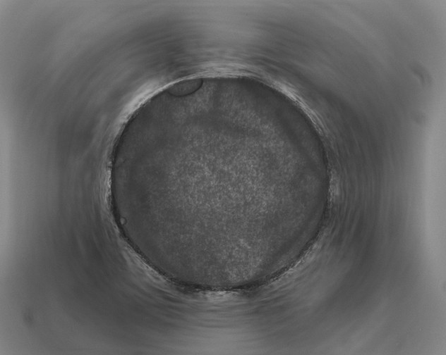 X0000113121459200909251103