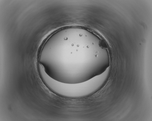 X0000113121460200909251103