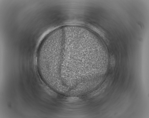 X0000113121462200909251103