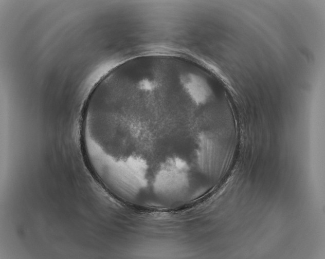 X0000113121463200909251103