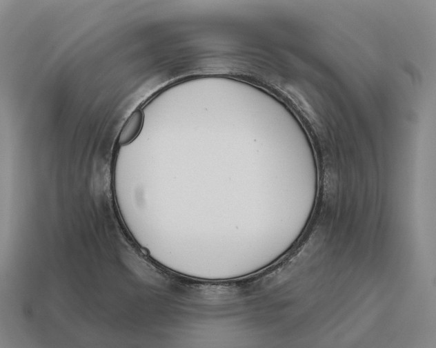 X0000113121465200909251103