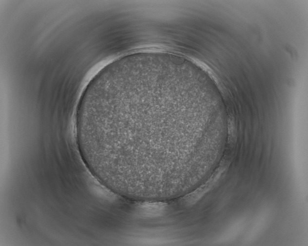 X0000113121466200909251103