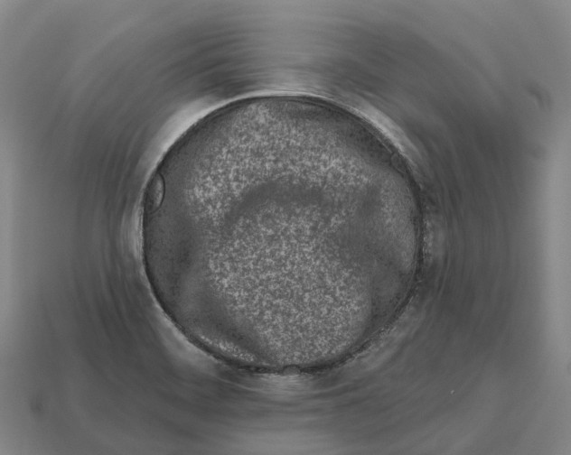 X0000113121468200909251103