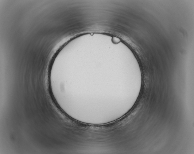X0000113121469200909251103