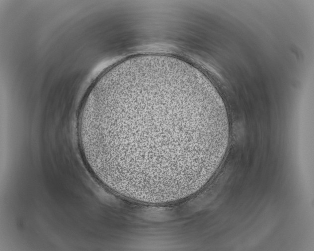 X0000113121470200909251103