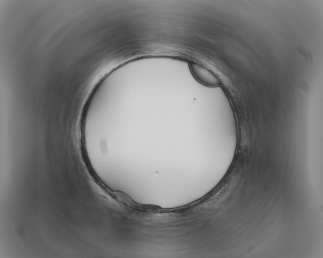 X0000113121471200909251103