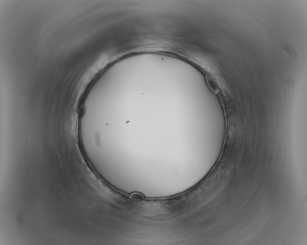 X0000113121472200909251103