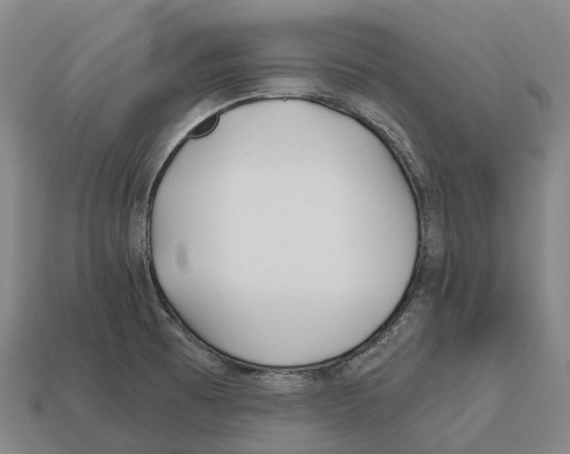 X0000113121473200909251103
