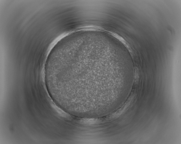 X0000113121474200909251103