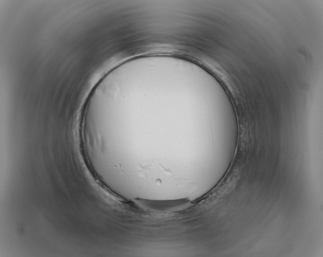 X0000113121475200909251103