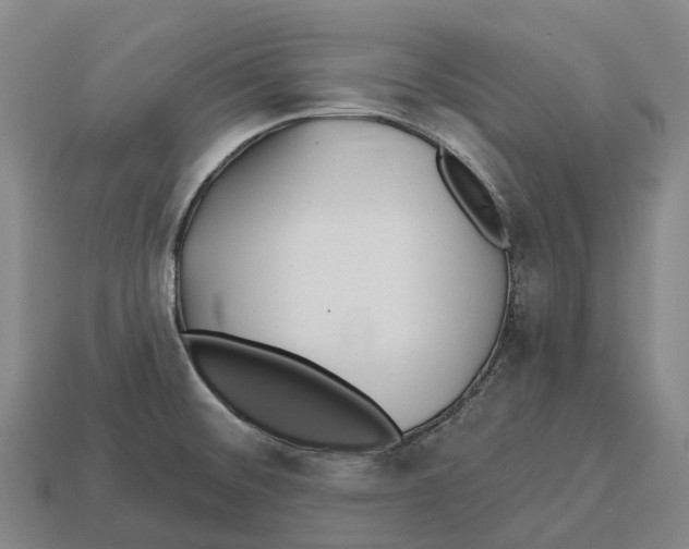 X0000113121476200909251103