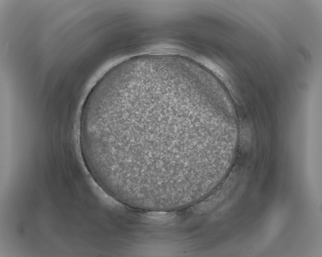 X0000113121478200909251102