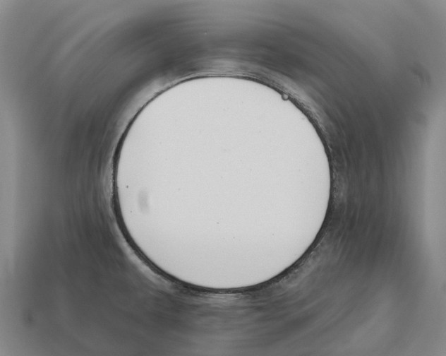 X0000113121479200909251102