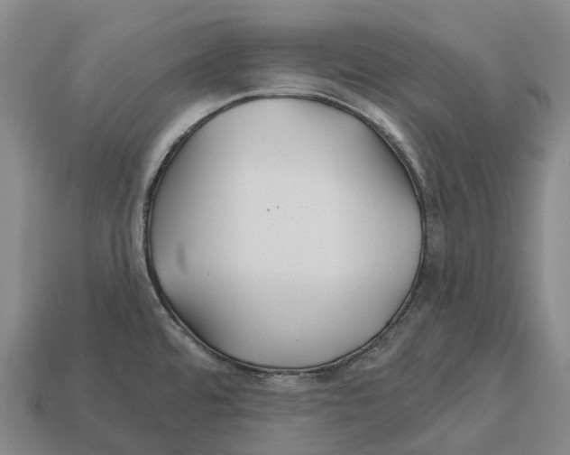X0000113121480200909251102