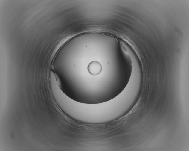 X0000113121481200909251102