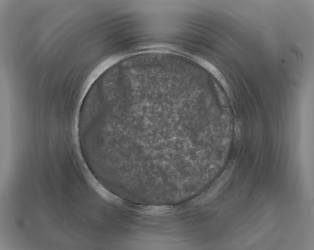X0000113121482200909251102