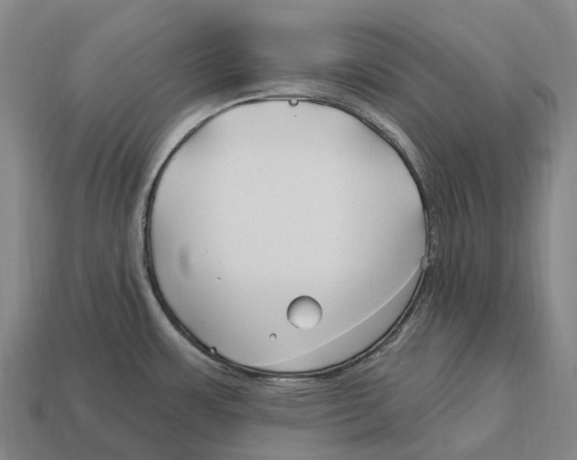 X0000113121483200909251102