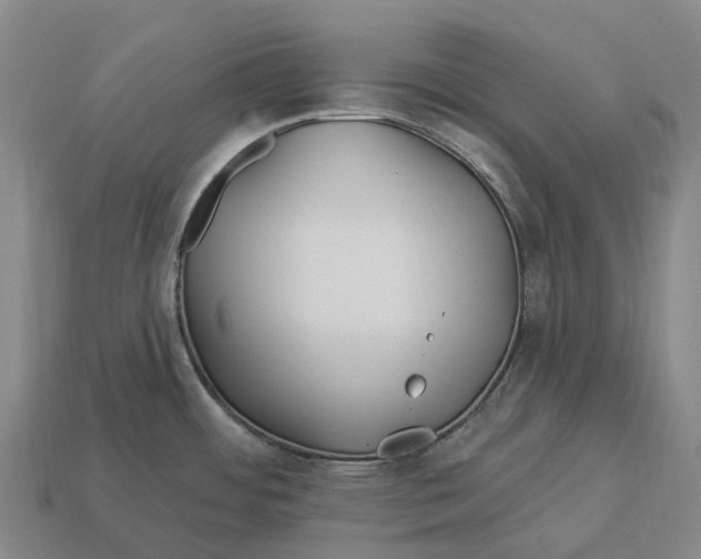 X0000113121484200909251102