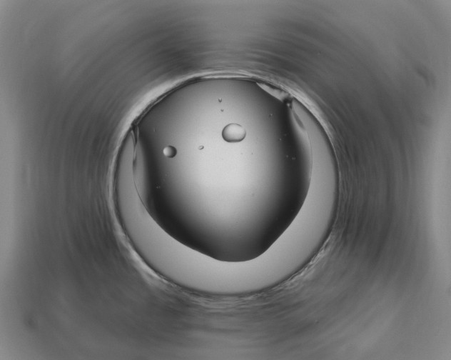 X0000113121485200909251102